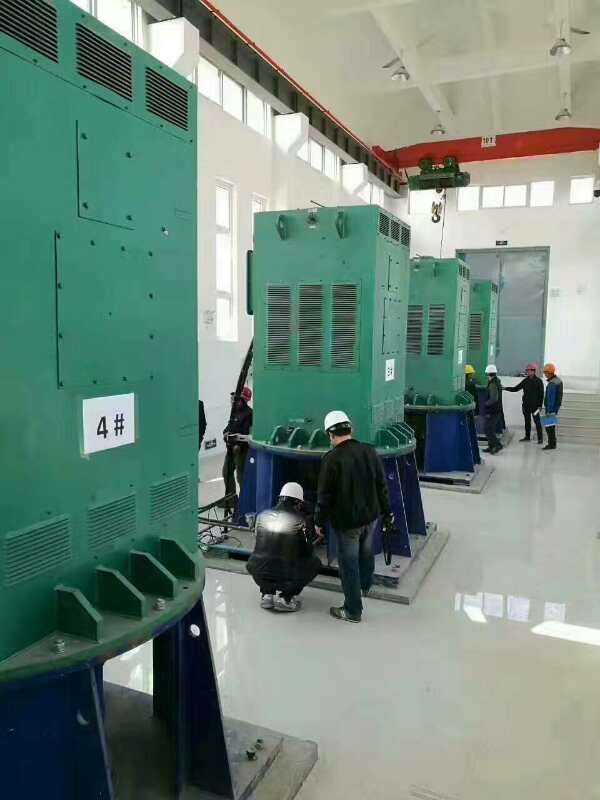 Y450-4D某污水处理厂使用我厂的立式高压电机安装现场