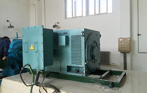 Y450-4D某水电站工程主水泵使用我公司高压电机