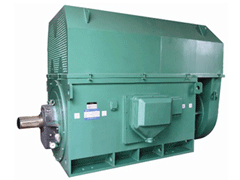 Y450-4DYKK系列高压电机