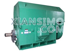 Y450-4DYXKK(2极)高效高压电机技术参数