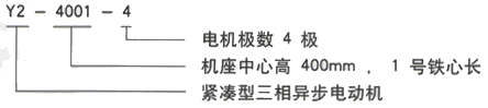 YR系列(H355-1000)高压Y450-4D三相异步电机西安西玛电机型号说明